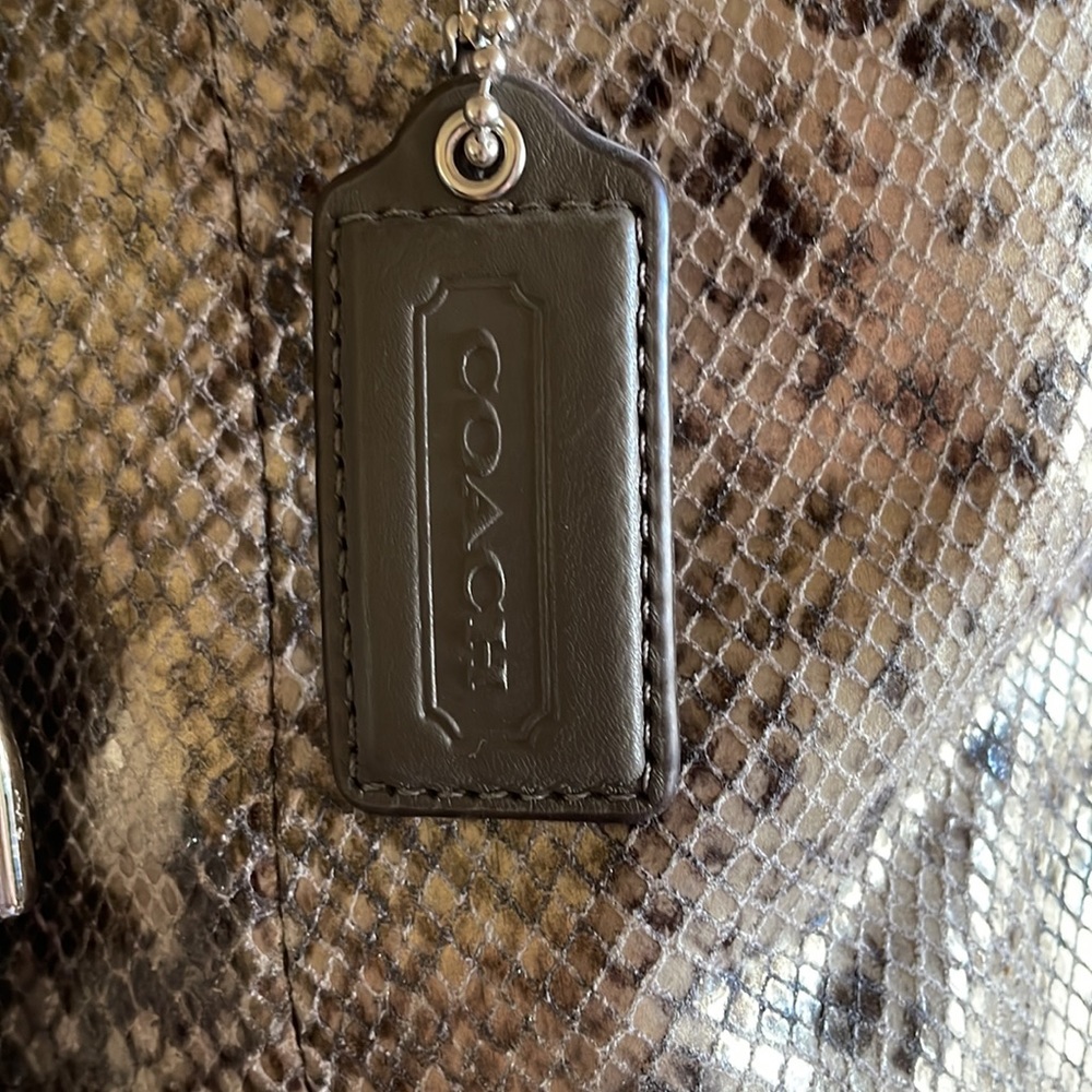 Coach Snakeskin bag - Picture 2 of 5